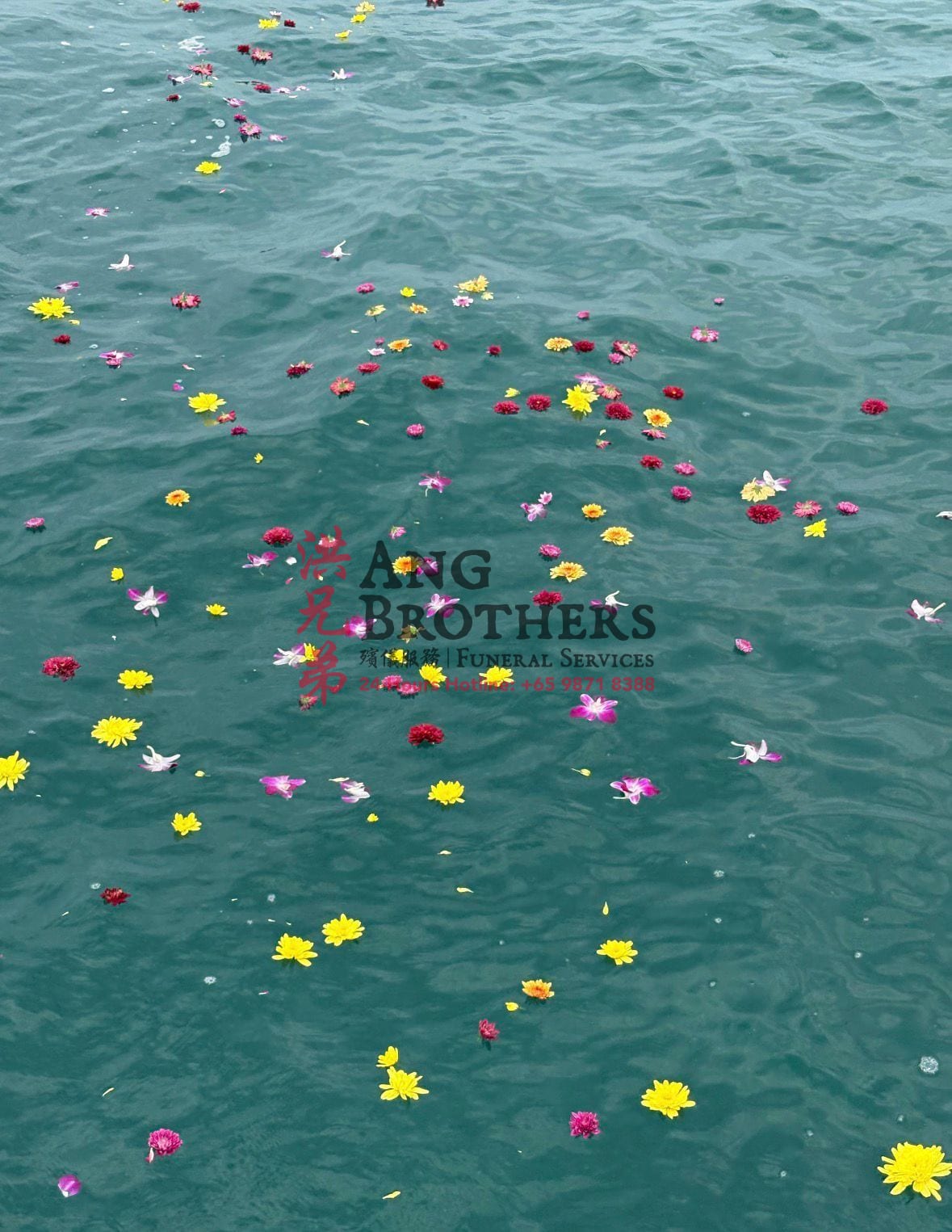 Fresh flower petals drifting on the open sea after a scattering