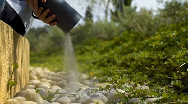 Inland Ash Scattering Services
