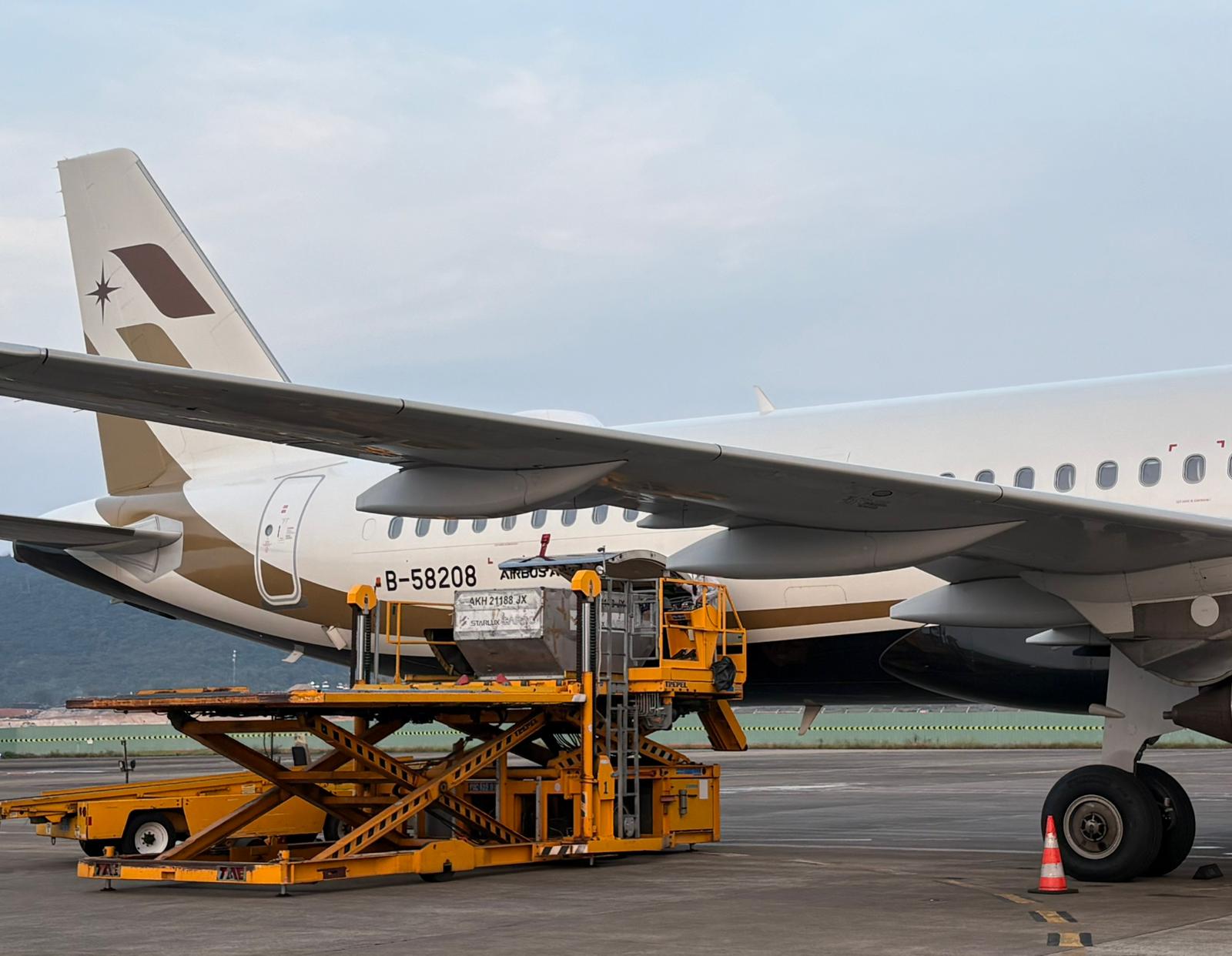 repatriation services