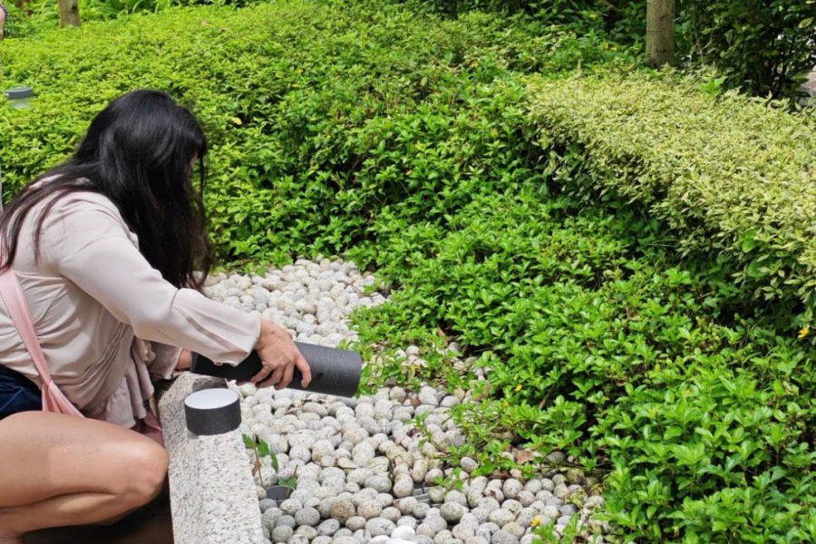 In Land Ash Scattering