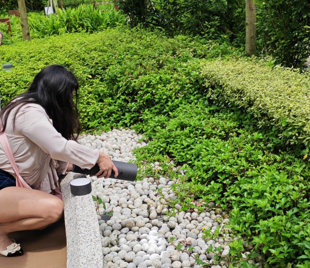 In-Land Ash Scattering in Singapore: A Simple Guide for Families